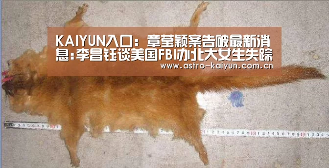 开云体育