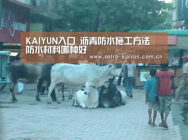 开云赛事资讯
