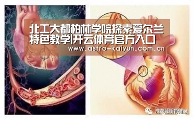 北工大都柏林学院探索爱尔兰特色教学|开云体育官方入口(图4) 开云赛事资讯